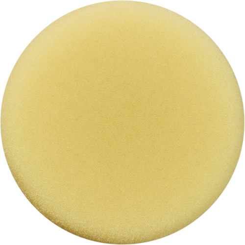 Polishing Pad, 3" Dia. Distribution Jean Lapalme