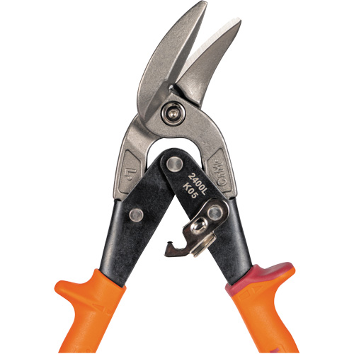 Compound Action Snips Distribution Jean Lapalme