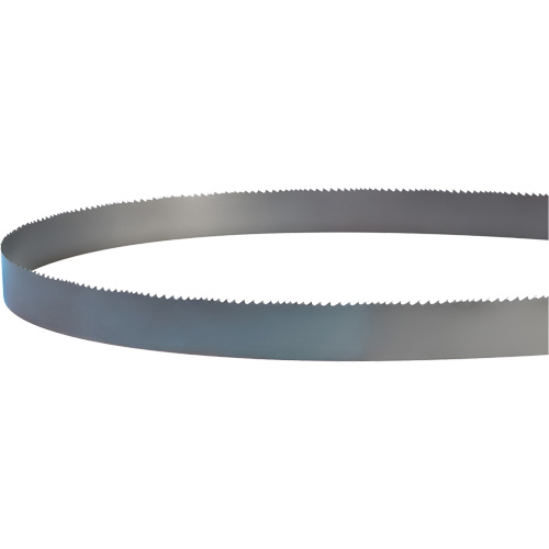 Lame soud&eacute;e pour scie &agrave; ruban, Bim&eacute;tal, 14' lo x 1" la x 4 - 6 dents par pouce Distribution Jean Lapalme