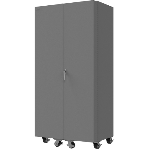 Armoire mobile vide Distribution Jean Lapalme