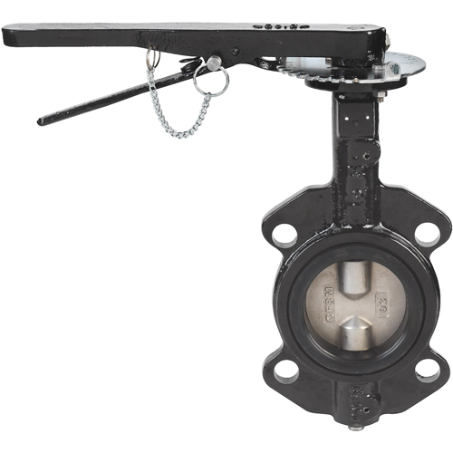 Butterfly Valves - Series BFV, 2-1/2" Pipe, 225 PSI Distribution Jean Lapalme