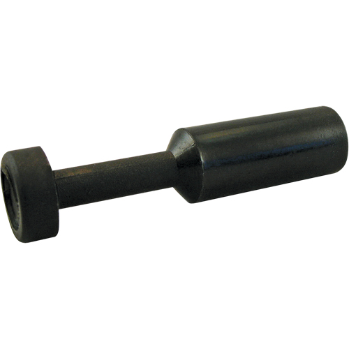 P.t.c. Plug Distribution Jean Lapalme