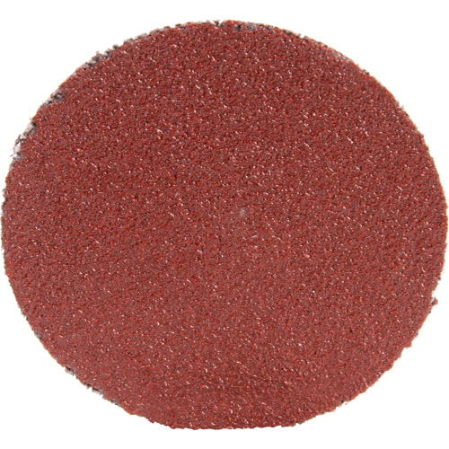 Disque 361F Roloc, 1-1/2" dia., Grain P100, Oxyde d'aluminium Distribution Jean Lapalme