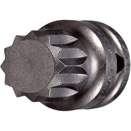 Embout &agrave; ins&eacute;rer, Triple carr&eacute;, 5 x 3/4" lo, Prise 1/4" Distribution Jean Lapalme