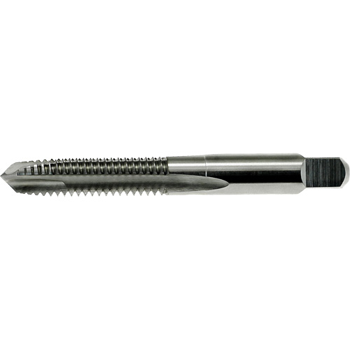 Taraud &agrave; pointe spiral&eacute;e DRILLCO, Acier rapide, Filet de M1,6x0,35 Distribution Jean Lapalme
