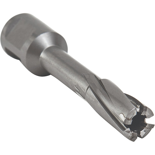 Core Cut Annular Cutter with Weldon Shank, 12 mm Diameter, Carbide, 55 mm Depth of Cut, 3/4" Shank Distribution Jean Lapalme