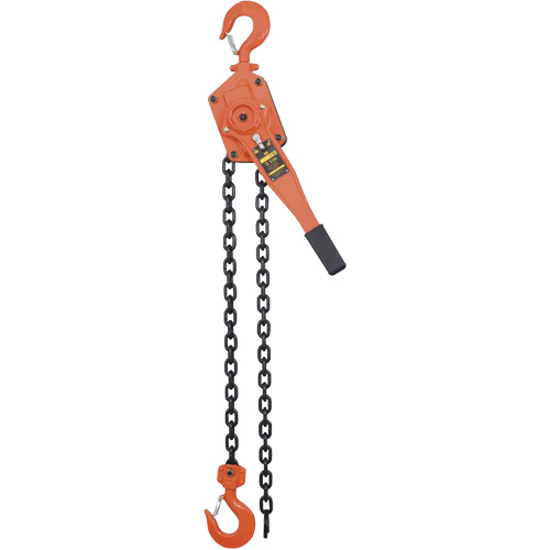 VLP Series Chain Hoists, 5' Lift, 6000 lbs. (3 tons) Capacity, Steel Chain Distribution Jean Lapalme