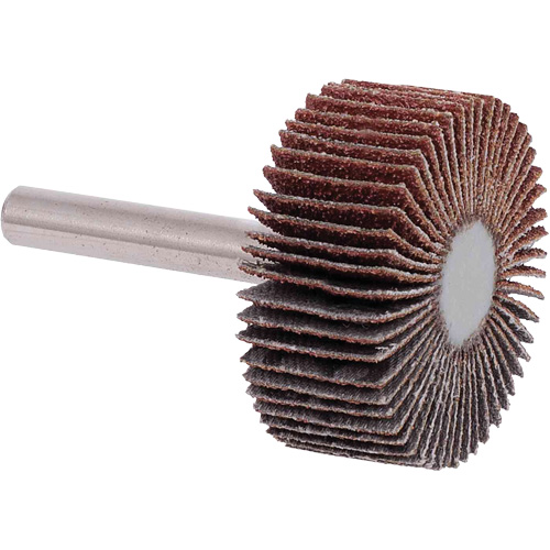Disques &agrave; lamelles, Grain 40, 1-1/2" x 1/2" Distribution Jean Lapalme
