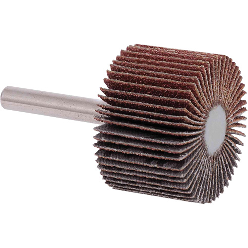 Disques &agrave; lamelles, Grain 40, 1-1/2" x 1" Distribution Jean Lapalme