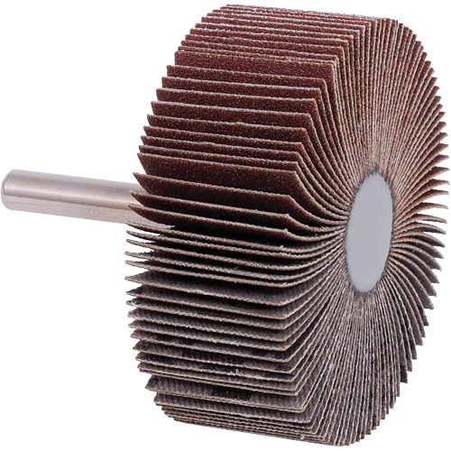 Disques &agrave; lamelles, Grain 40, 2-1/2" x 1" Distribution Jean Lapalme