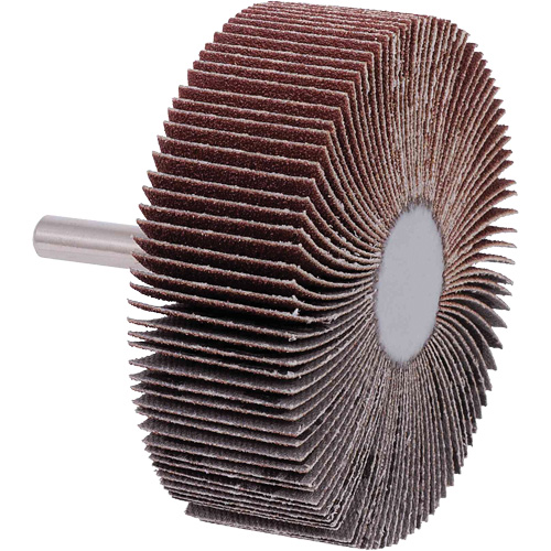 Disques &agrave; lamelles, Grain 40, 3" x 1" Distribution Jean Lapalme