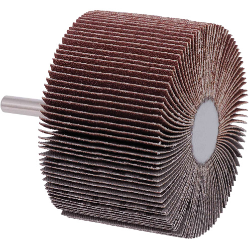 Disques &agrave; lamelles, Grain 40, 3" x 2" Distribution Jean Lapalme