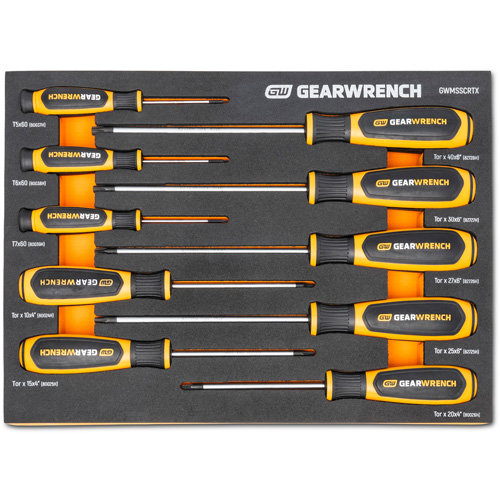 Jeu de tournevis bimat&eacute;riau Torx dans un plateau de rangement en mousse, 10 mcx Distribution Jean Lapalme