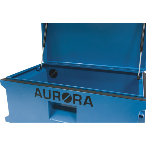 Coffre &agrave; outils de chantier, 33" x 20-3/10" x 18-3/10", Acier, Bleu Distribution Jean Lapalme
