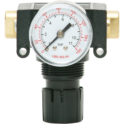 MODULAIR 200 Acetal Piston Regulator, 1/4" NPT, 150 PSI Max. PSI, In Line/Modular Distribution Jean Lapalme
