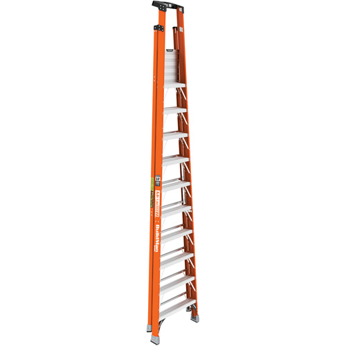 Safespace Platform Step Ladder, 10', 300 lbs. Cap. Distribution Jean Lapalme