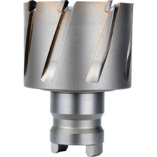 Fraise avec tenon &agrave; changement rapide Drive Hawg, Diam&egrave;tre de 2", Acier, Profondeur de la coupe de 1" Distribution Jean Lapalme