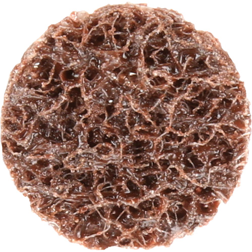 Standard Abrasives Quick-Change Surface Conditioning Disc, 3/4" Dia., Coarse Grit, Aluminum Oxide Distribution Jean Lapalme