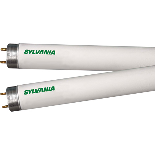 Lampes fluorescentes, 32 W, T8, 4100 K, Longueur de 48" Distribution Jean Lapalme