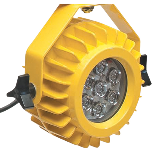 Lampe robuste DEL pour les quais - t&ecirc;te seulement Distribution Jean Lapalme