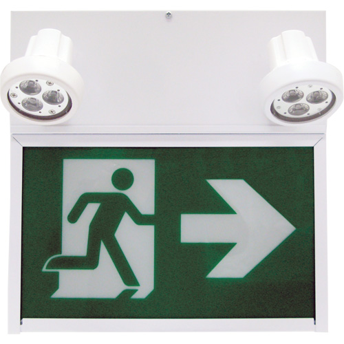 Running Man Exit Sign, LED, Battery Operated/Hardwired, 12" L x 12 1/2" W, Pictogram Distribution Jean Lapalme