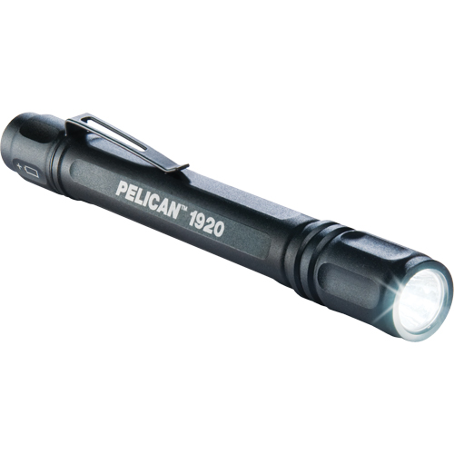 Lampes de poche ProGear 1920, DEL, 120 lumens, Piles AAA Distribution Jean Lapalme