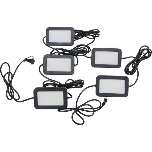 LED String Work Lights, 5 Lights, 50' L, Plastic Housing Distribution Jean Lapalme