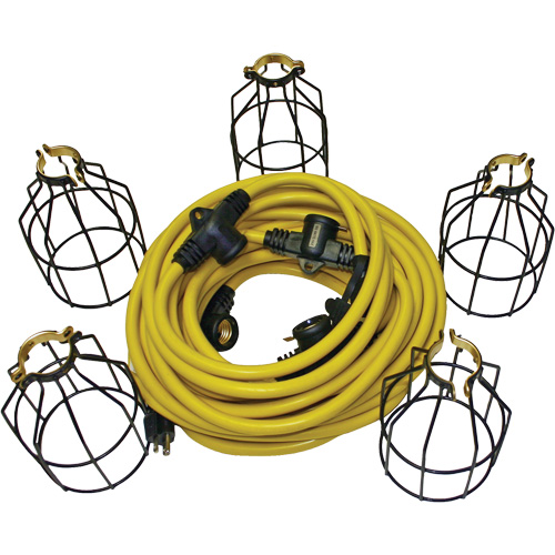 Guirlande &eacute;lectrique &agrave; DEL avec connecteur, 5 Lumi&egrave;res, 50' lo, Boîtier en M&eacute;tal Distribution Jean Lapalme