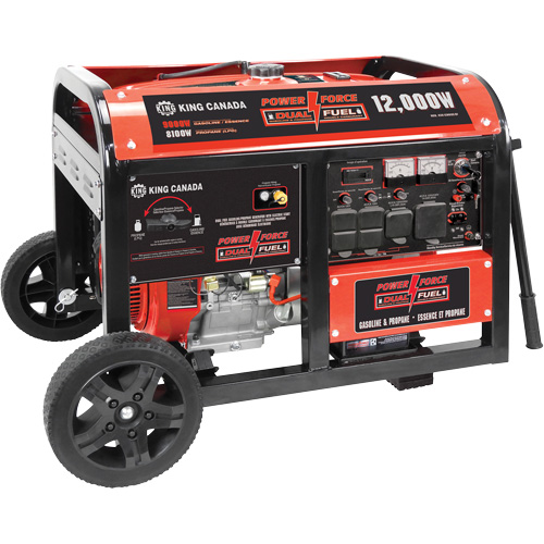 G&eacute;n&eacute;ratrice &agrave; essence/propane &agrave; d&eacute;marreur &eacute;lectrique Distribution Jean Lapalme