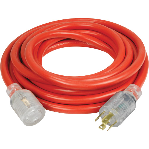 Generator Extension Cord with Quad Tap, Outdoor, 10 AWG, 30 A, 4 Outlet(s), 25' Distribution Jean Lapalme