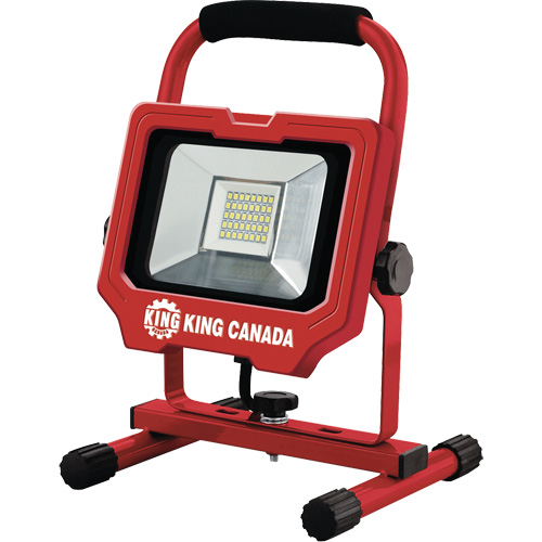 Baladeuse, DEL, 20 W, 3000 lumens, Boîtier en Aluminium Distribution Jean Lapalme