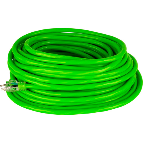 Industrial Extension Cord, All-Weather, SJTW, 10/3 AWG, 15 A, 100' Distribution Jean Lapalme