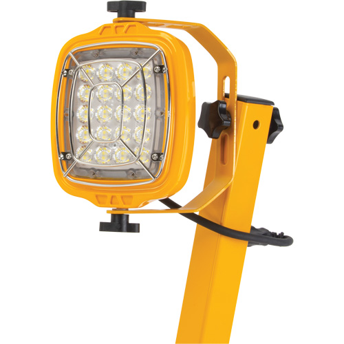 Dock Light, 40" Arm, 50 W, LED Lamp, Metal Distribution Jean Lapalme