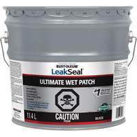 LeakSeal&reg; Ultimate Wet Roof Patch Distribution Jean Lapalme