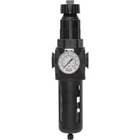 Modulair 400 Filter/Regulator with Manual Drain, 3/4" NPT, 200 psi, 9.1 fl. oz. Capacity Distribution Jean Lapalme