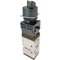 Valve Selector, 116 PSI Distribution Jean Lapalme