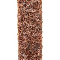 Scotch-Brite Surface Conditioning File Belts Distribution Jean Lapalme