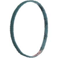 Scotch-Brite Surface Conditioning File Belts Distribution Jean Lapalme