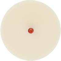 Scotch-Brite Moulding Adhesive & Stripe Removal Disc, 7501, 4" Dia. Distribution Jean Lapalme