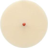 Scotch-Brite Moulding Adhesive and Stripe Removal Disc 7502, 6" Dia. Distribution Jean Lapalme