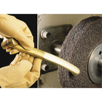 Scotch-Brite Multi-Finishing Wheels, 6" x 1", 1" Arbor Distribution Jean Lapalme