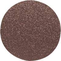 Disque de ponçage pour le bois, 12" dia., Grain 60 Distribution Jean Lapalme