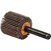 Flap Wheels-Coolcut Flap Wheels, Aluminum Oxide, 60 Grit, 1" x 1" x 1/4" Distribution Jean Lapalme