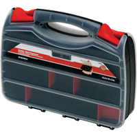 Plastic Compartment Box, 10.25" W x 12.25" D x 3" H, 32 Compartments Distribution Jean Lapalme