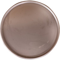 Steel Drum Lid Distribution Jean Lapalme