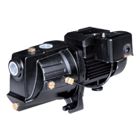 Pompe &agrave; jet en fonte &agrave; double tension pour puit peu profond, 230 V, 710 gal./h, 1/2 CV Distribution Jean Lapalme
