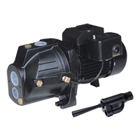 Pompe &agrave; jet en fonte &agrave; double tension transformable, 230 V, 920 gal./h, 1 CV Distribution Jean Lapalme