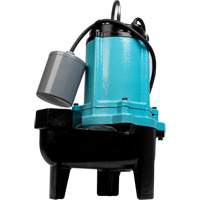 10SC Series Sewage Pump, 115 V, 11 A, 120 GPM, 1/2 HP Distribution Jean Lapalme