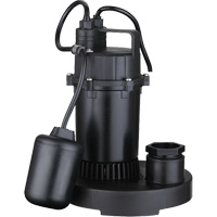 Thermoplastic Submersible Sump Pump, 2560 GPH, 115 V, 4.6 A, 1/3 HP Distribution Jean Lapalme