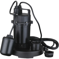 Thermoplastic Submersible Sump Pump, 2560 GPH, 115 V, 4.6 A, 1/3 HP Distribution Jean Lapalme